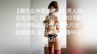 【爆乳女神重磅核弹】秀人网巨乳网红『朱可儿』2023最新付费私拍 粉色透视大尺度 超美爆乳 极品诱惑 超清4K原版 (2)