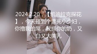 2024.2.20，【凯迪拉克探花】，今天碰到个漂亮小少妇，你撸我的屌，我抓你的奶，又白又大美乳