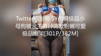 Twitter摄影师 SY伦啊极品小母狗被金主各种调教粉嫩可爱极品炮架[301P/382M]