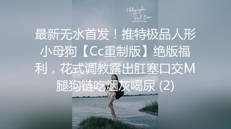 最新无水首发！推特极品人形小母狗【Cc重制版】绝版福利，花式调教露出肛塞口交M腿狗链吃烟灰喝尿 (2)