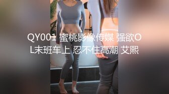 QY001 蜜桃影像传媒 强欲OL末班车上 忍不住高潮 艾熙