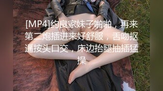 【自整理】The Fallen Babe (第二弹) 美少妇的丝袜诱惑 好看的腿就应该穿丝袜  最新流出视频合集【NV】 (30)