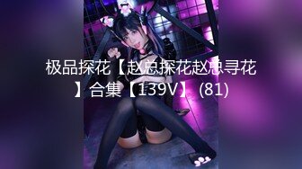 极品探花【赵总探花赵总寻花】合集【139V】 (81)