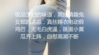 极品少妇的味道，黑丝情趣兔女郎的诱惑，真丝睡衣电动假鸡巴，无毛白虎逼，跳蛋小黄瓜齐上阵，自慰高潮不断